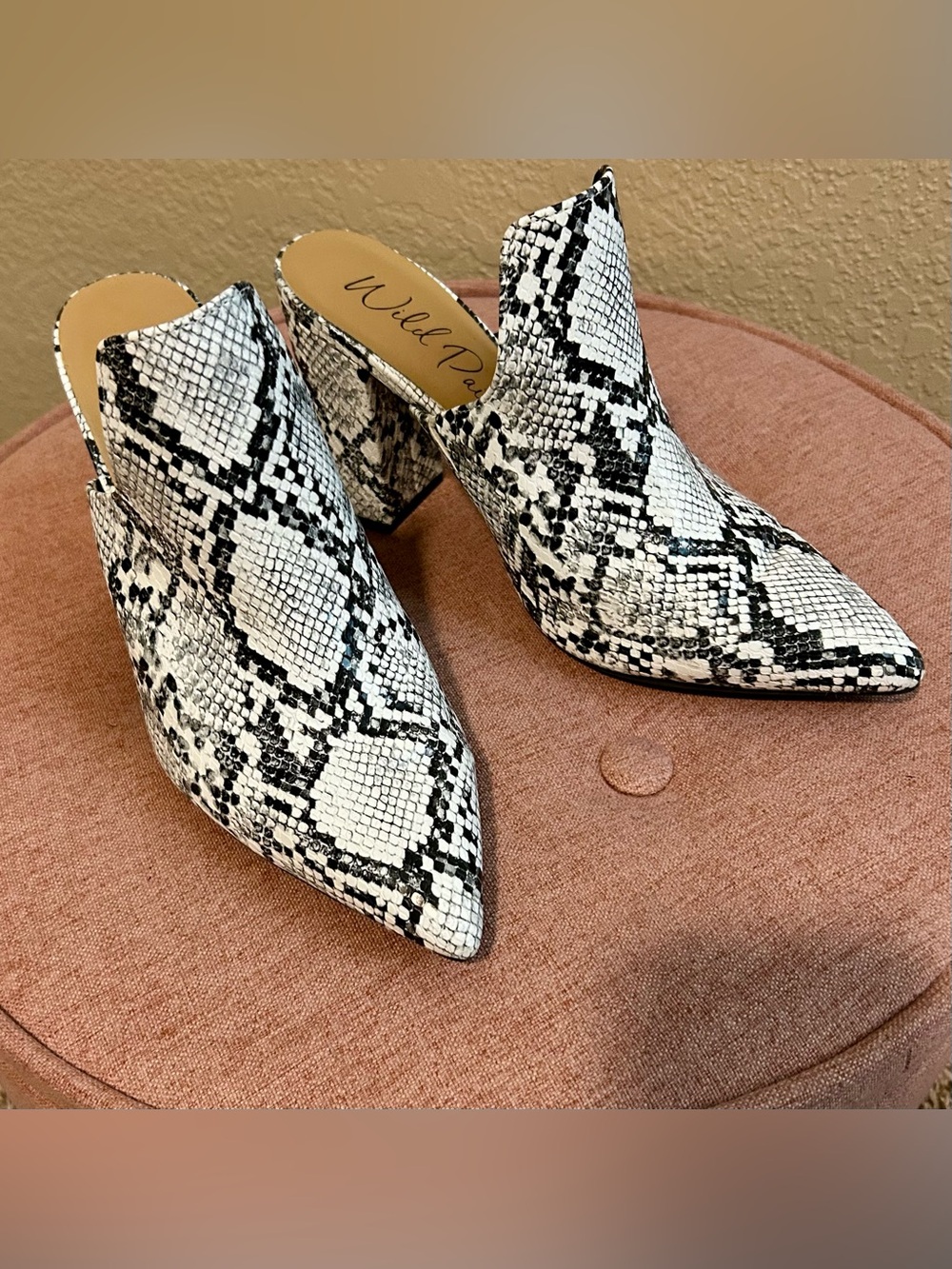 Wild Pair Women's Black and White Snake-Print Pointed Mule